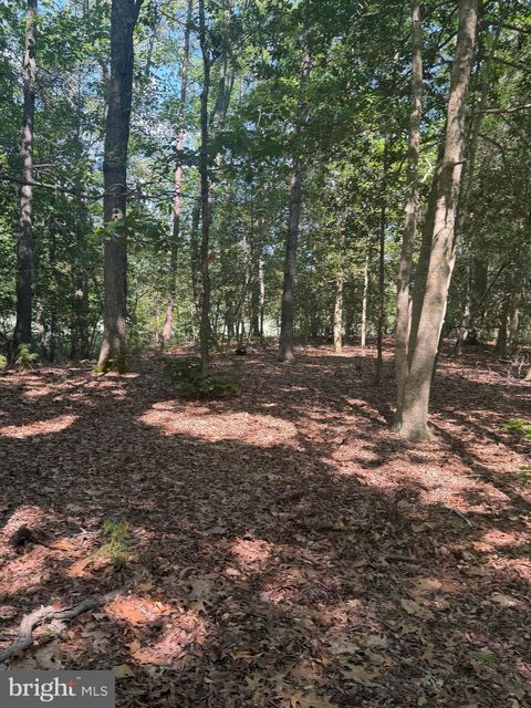 Vacant Land For Sale - 0000 Nancy Lane<br/> KING GEORGE, VA 22485