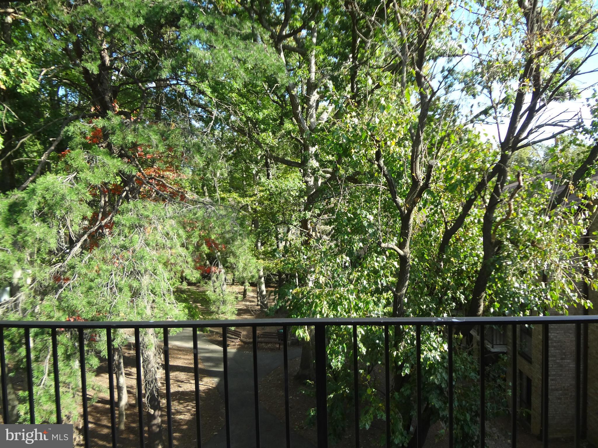 SOUTHGATE - Residential Lease