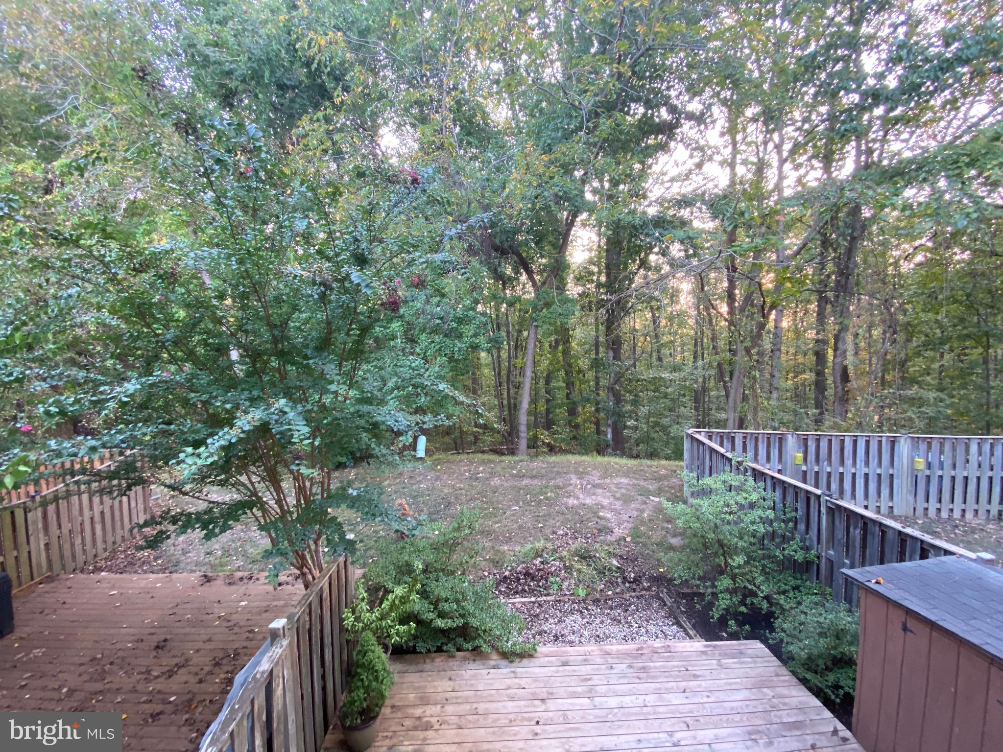 AMBERLEIGH - Residential Lease