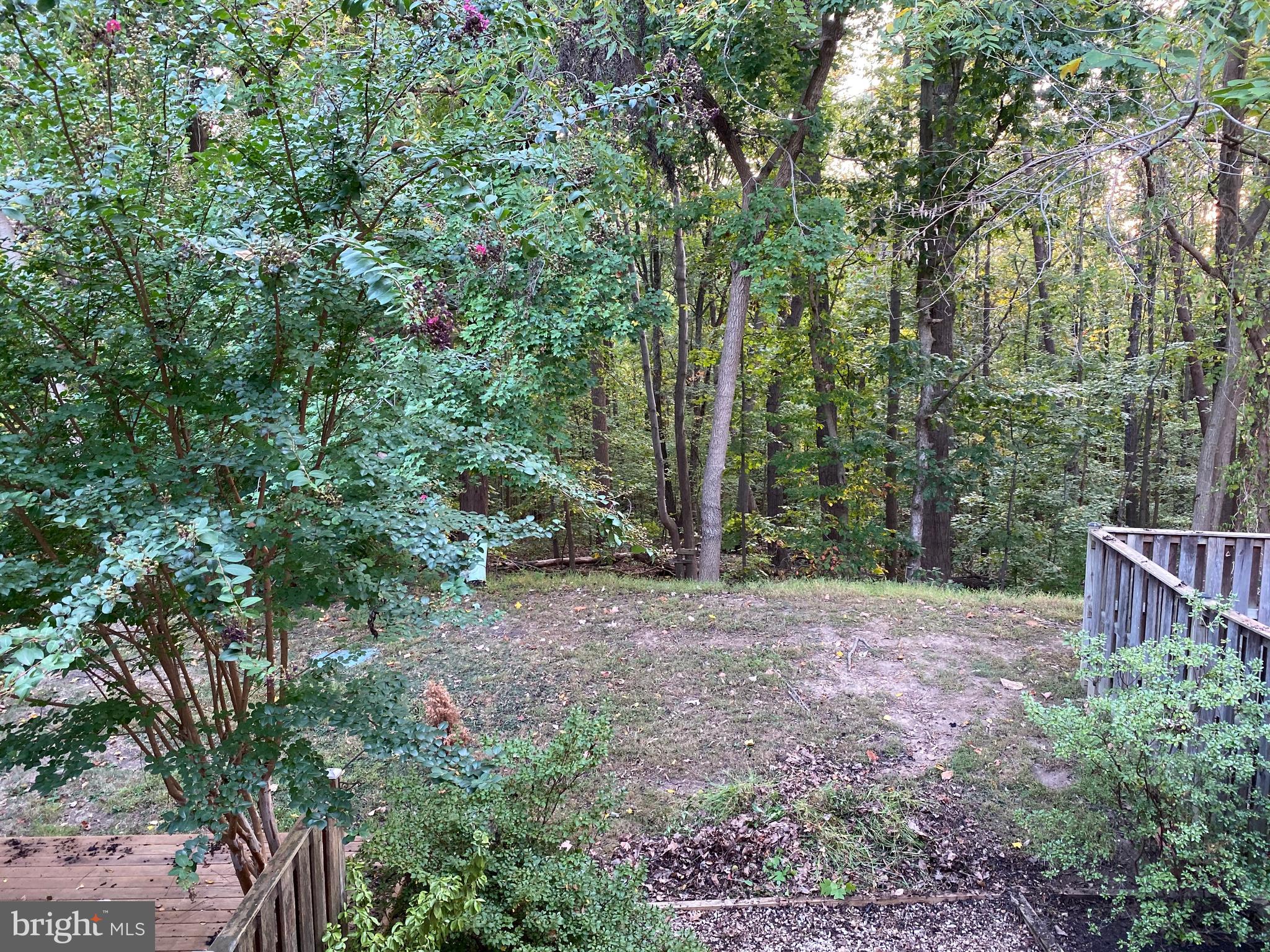 AMBERLEIGH - Residential Lease