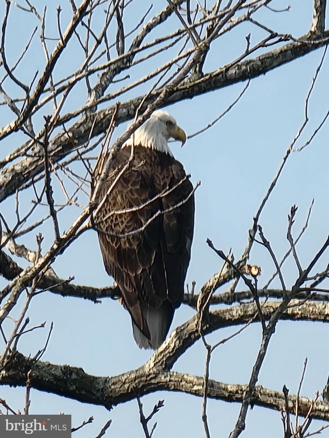 LAKE JACKSON SHORES - Residential