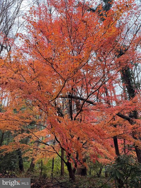 6811 JEREMIAH COURT FAIRFAX STATION VA 22039