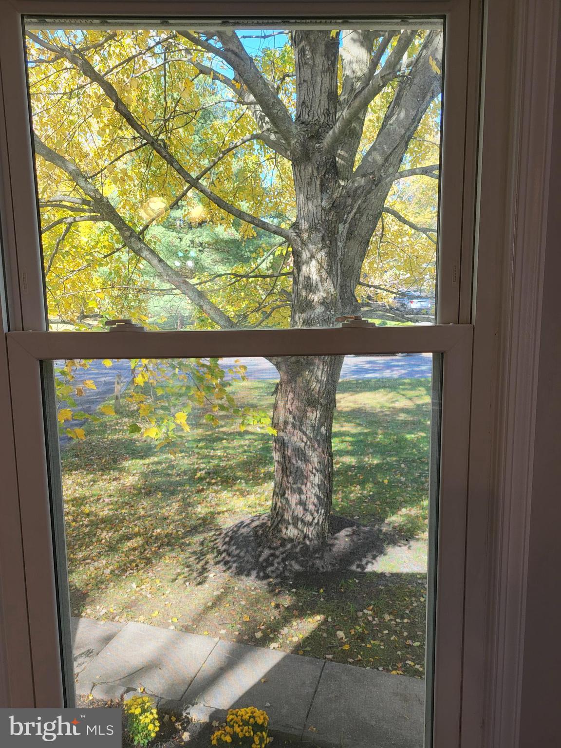 GLEN MAR - Residential