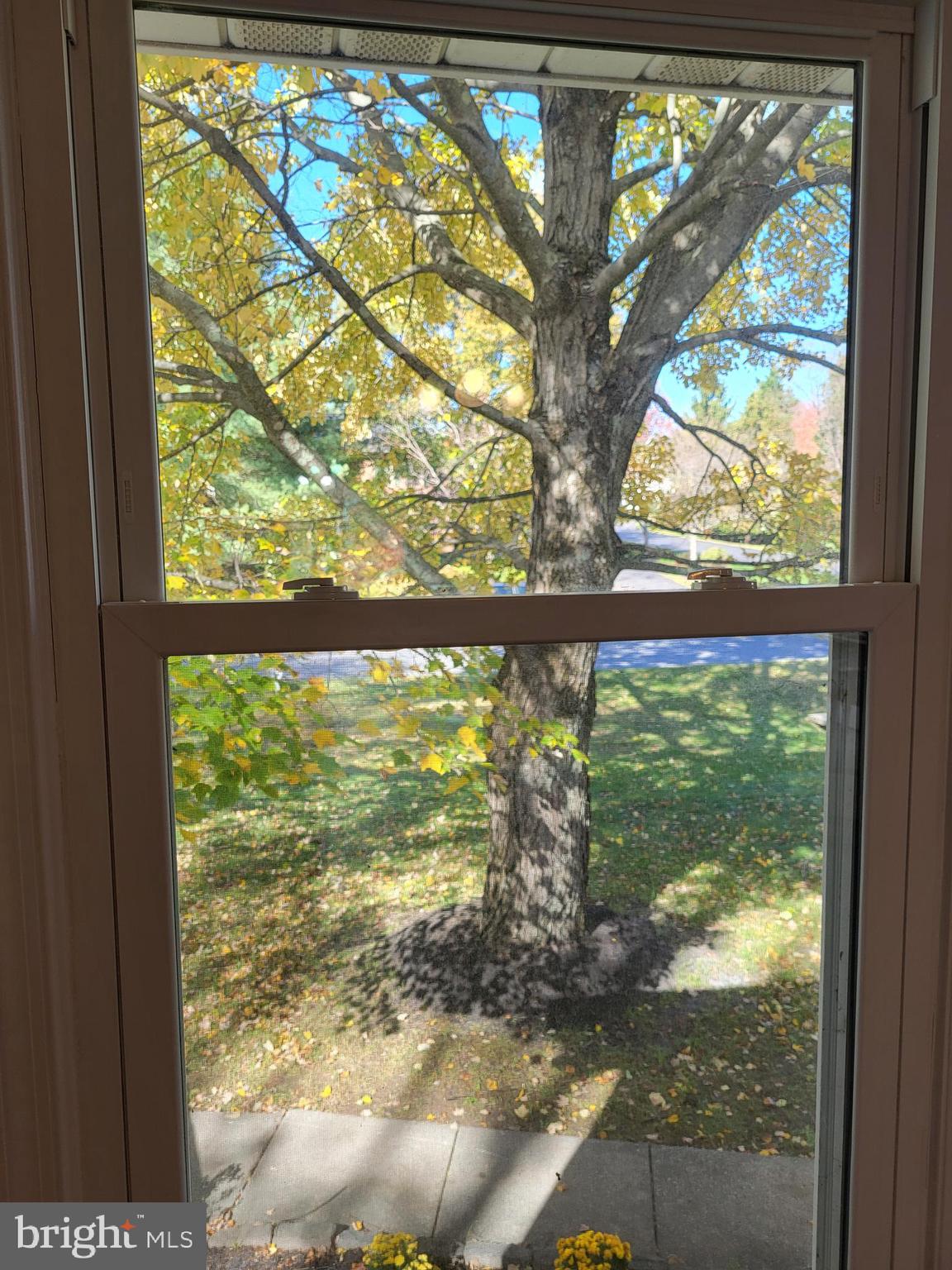 GLEN MAR - Residential