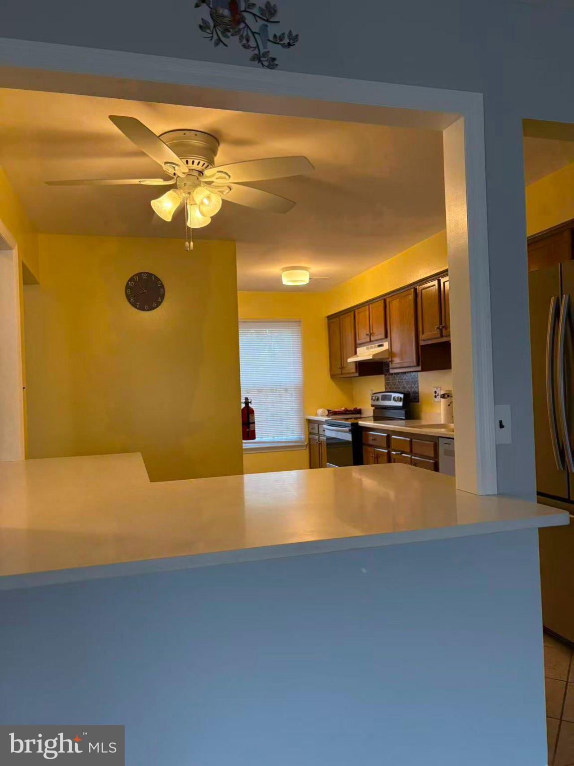 57 E OLEANDER DRIVE