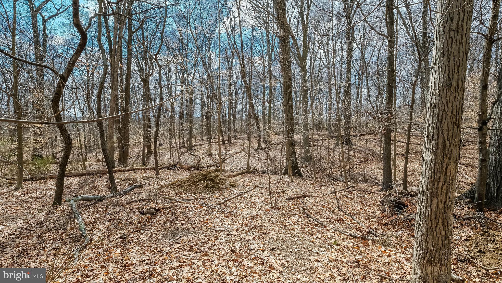 DEVONSHIRE - Residential