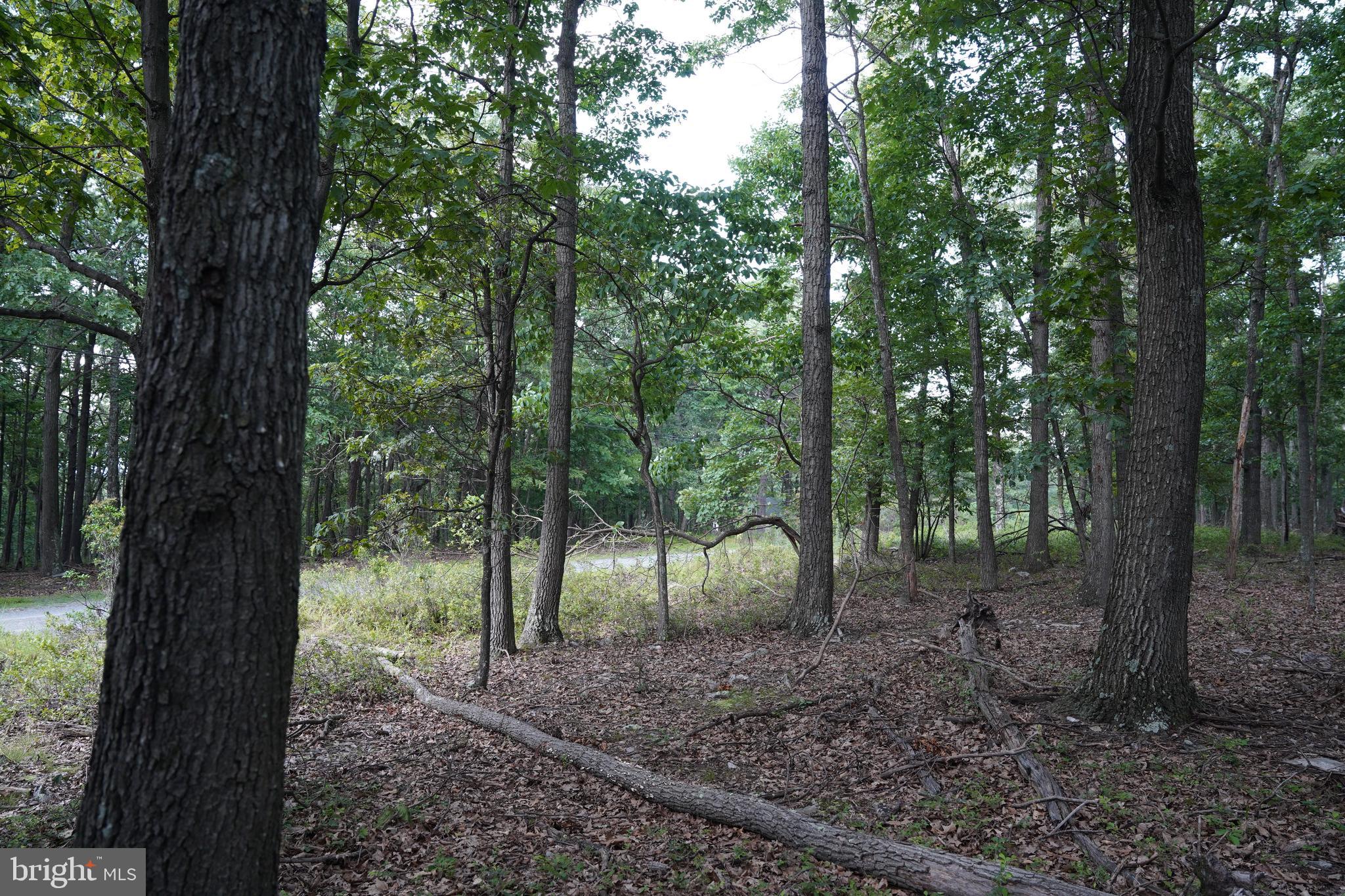 CACAPON HIGHLANDS - Land