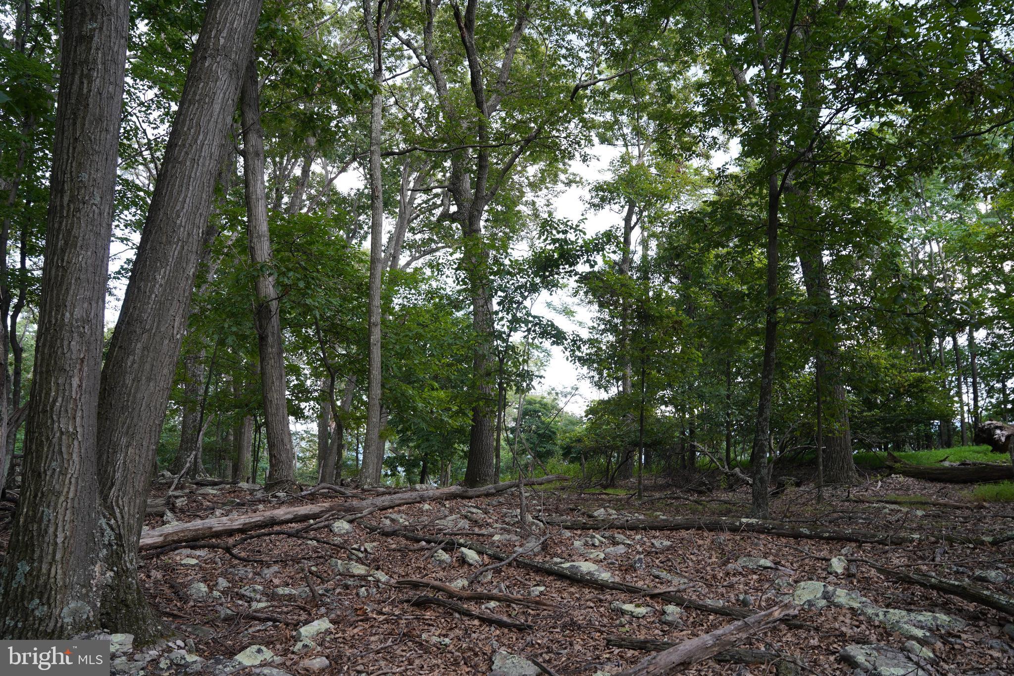 CACAPON HIGHLANDS - Land