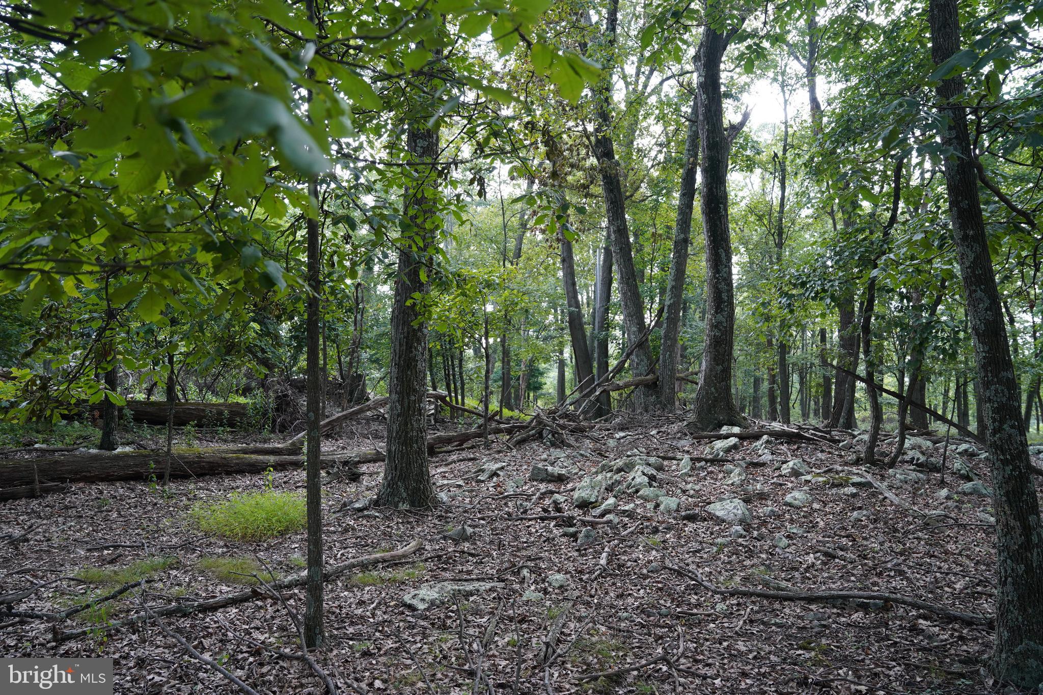 CACAPON HIGHLANDS - Land