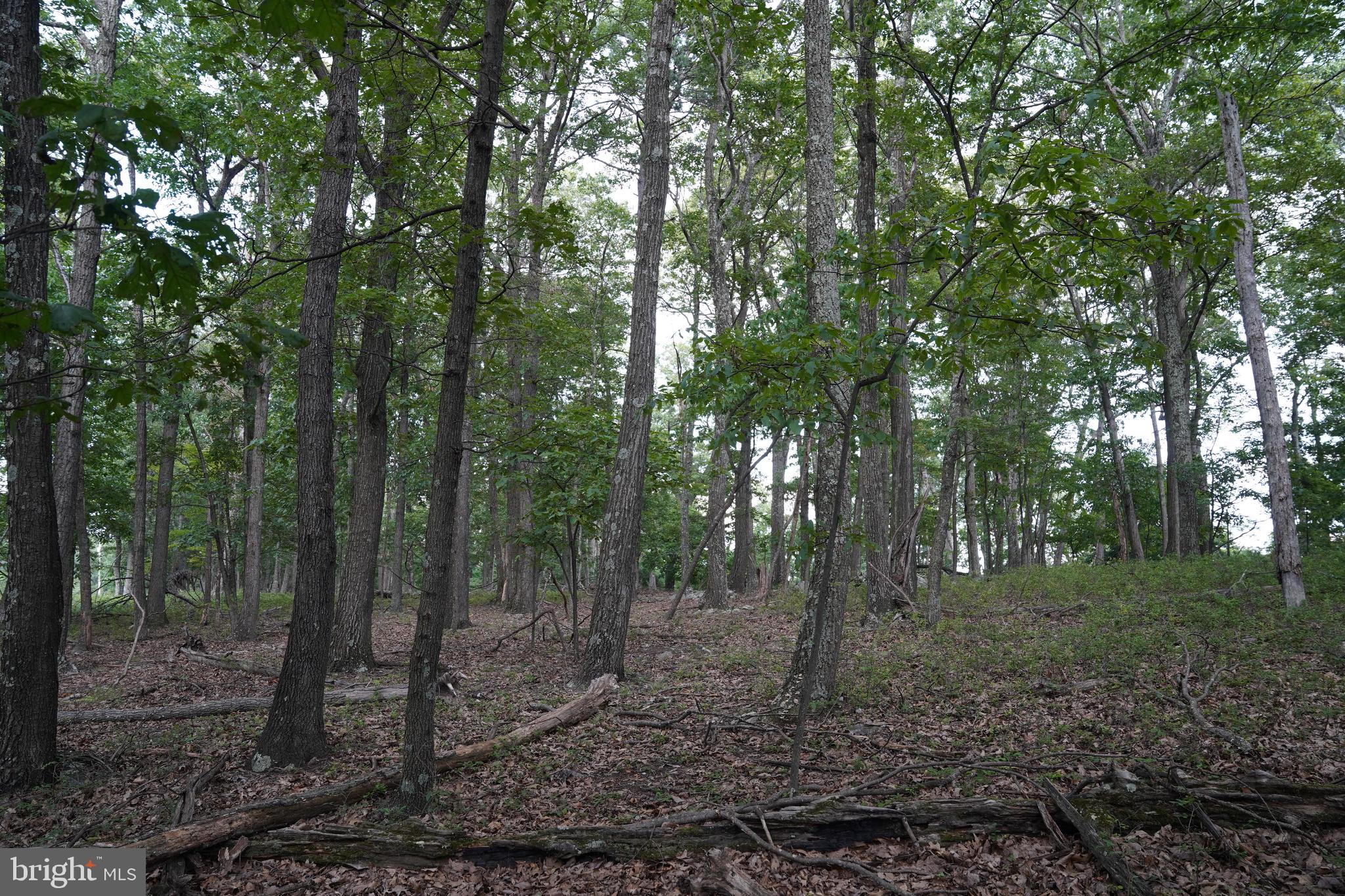 Beautiful 9.46-acre wooded lot in the scenic Cacapon Highlands community. Located just 30 minutes from Berkeley Springs and 7 miles west of Great Cacapon, this property offers a peaceful mountain setting with mature hardwoods, gently rolling terrain, and abundant wildlife. Ideal for a full-time residence, vacation home, or private retreat.