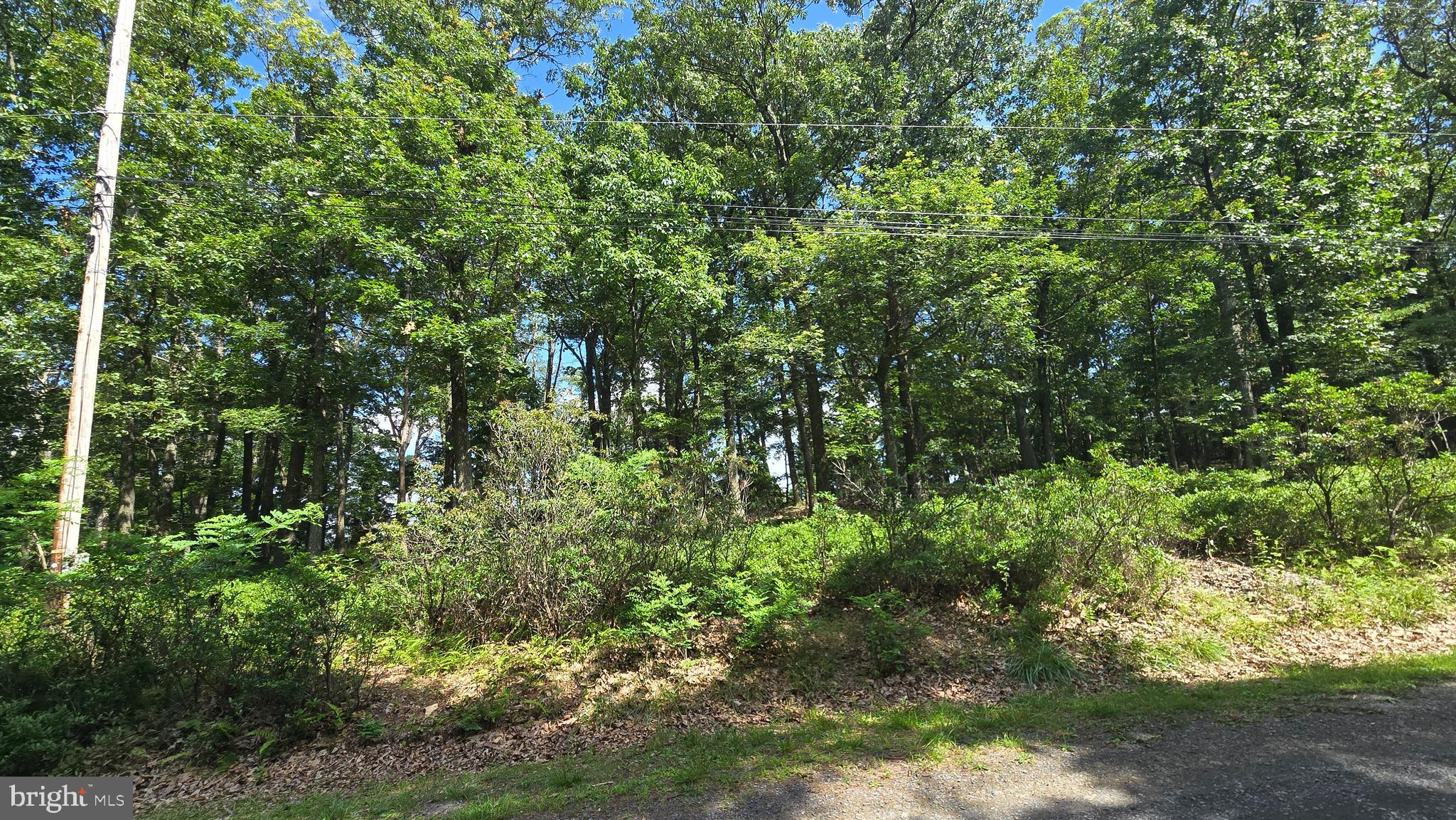 CACAPON HIGHLANDS - Land