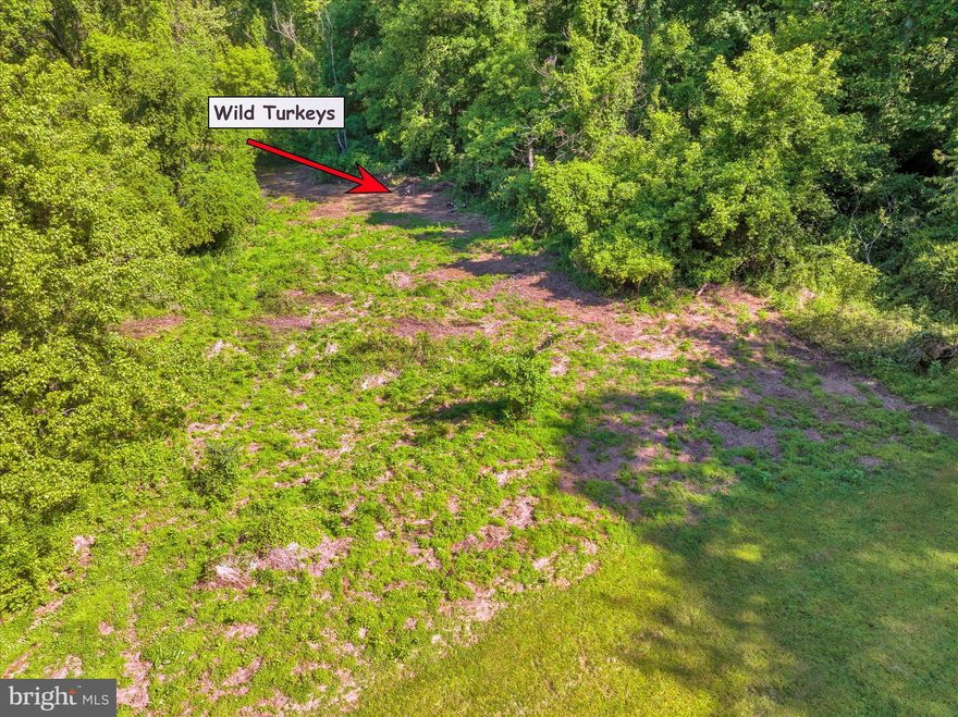 Rare 3.7-Acre Building Lot Between Lancaster & Millersville
Opportunities such as this are becoming increasingly rare in Lancaster County. Nestled at the end of a long private lane and surrounded by nature, this exceptional 3.7-acre homesite offers the perfect setting to create the custom home you have always envisioned.
Located in a highly desirable area between Lancaster and Millersville, this secluded parcel combines privacy, natural beauty, and convenience in a way that few properties can. Towering trees provide a peaceful backdrop, while abundant wildlife—including deer, wild turkeys, and countless species of birds—creates a setting that feels worlds away from the hustle and bustle of everyday life.
Adding to its uniqueness, the eastern boundary of the property adjoins a magnificent 110-acre private estate, helping to preserve the tranquil character and sense of openness that make this offering so special. Along the northern border, the picturesque Little Conestoga Creek meanders through the landscape, providing a scenic natural feature and enhancing the property's appeal. While portions of the land adjacent to the creek may occasionally experience flooding, the primary building site is located outside the flood plain, offering an ideal location for your future residence.
One of the most attractive features of this property is the flexibility it affords. Bring your own builder and design a home tailored to your lifestyle and preferences. Equally important, there is no required timeframe within which to build, allowing you to secure this exceptional homesite today and build when the time is right for you.
Public sewer service is available, and the property is served by well water, simplifying the building process while maintaining the benefits of a spacious rural setting.
Despite its peaceful and private location, the property is remarkably convenient. Lancaster City, Millersville, shopping, dining, schools, healthcare facilities, and major highways are all just a short drive away, providing easy access to everything you need while allowing you to return home to your own private retreat.
Whether you dream of a classic country estate, a modern architectural masterpiece, or a family home surrounded by nature, this property offers the ideal canvas upon which to bring that vision to life.
Rarely do building lots of this size, setting, and location become available. Do not miss this opportunity to own one of the area's most desirable homesites.
Call today to schedule your private tour. This exceptional property is not expected to remain available for long.