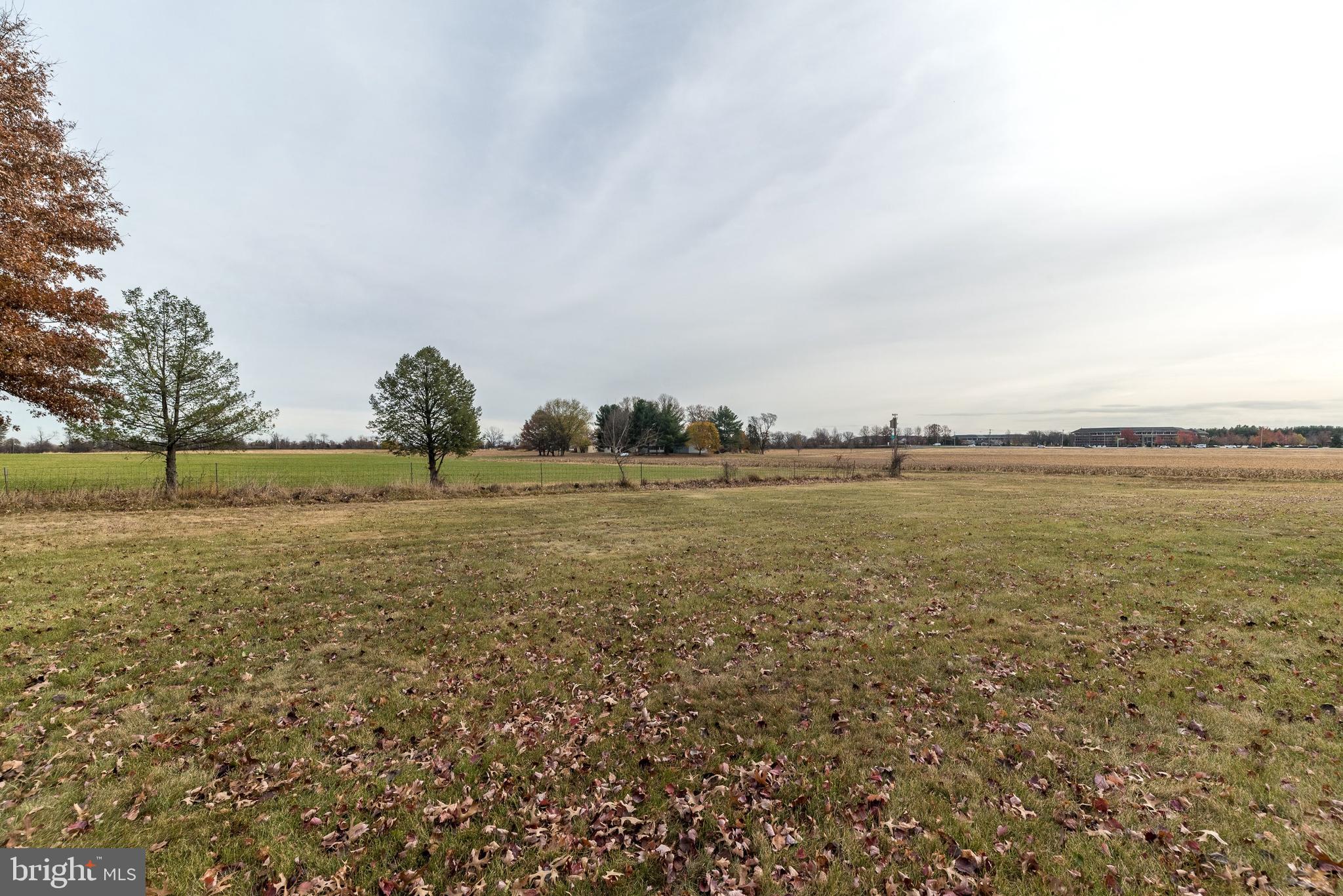 BRIDLE ESTATES - Residential