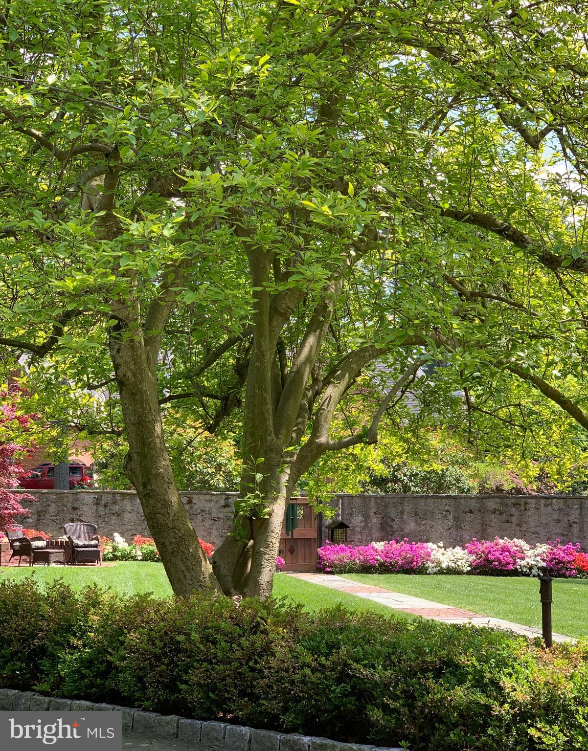 MT AIRY (WEST) - Residential