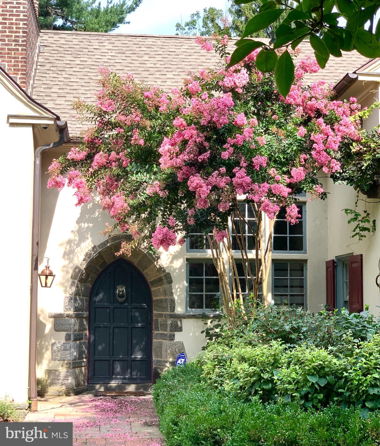 MT AIRY (WEST) - Residential