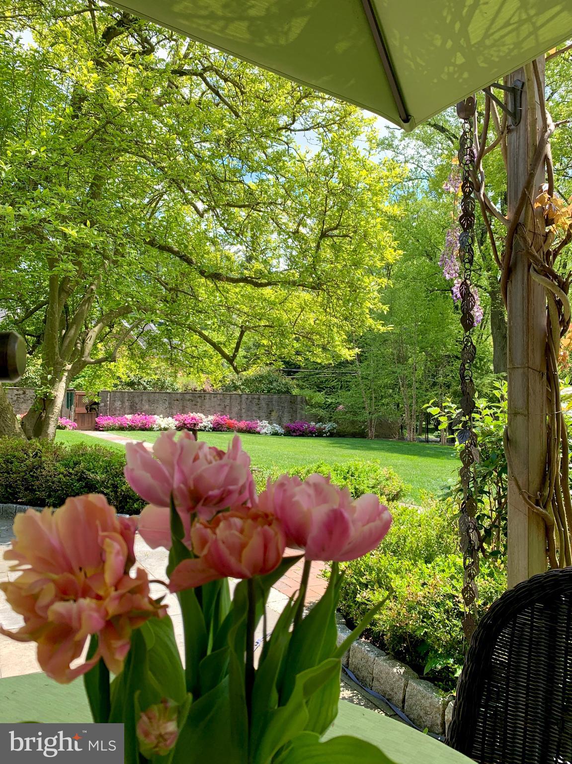 MT AIRY (WEST) - Residential