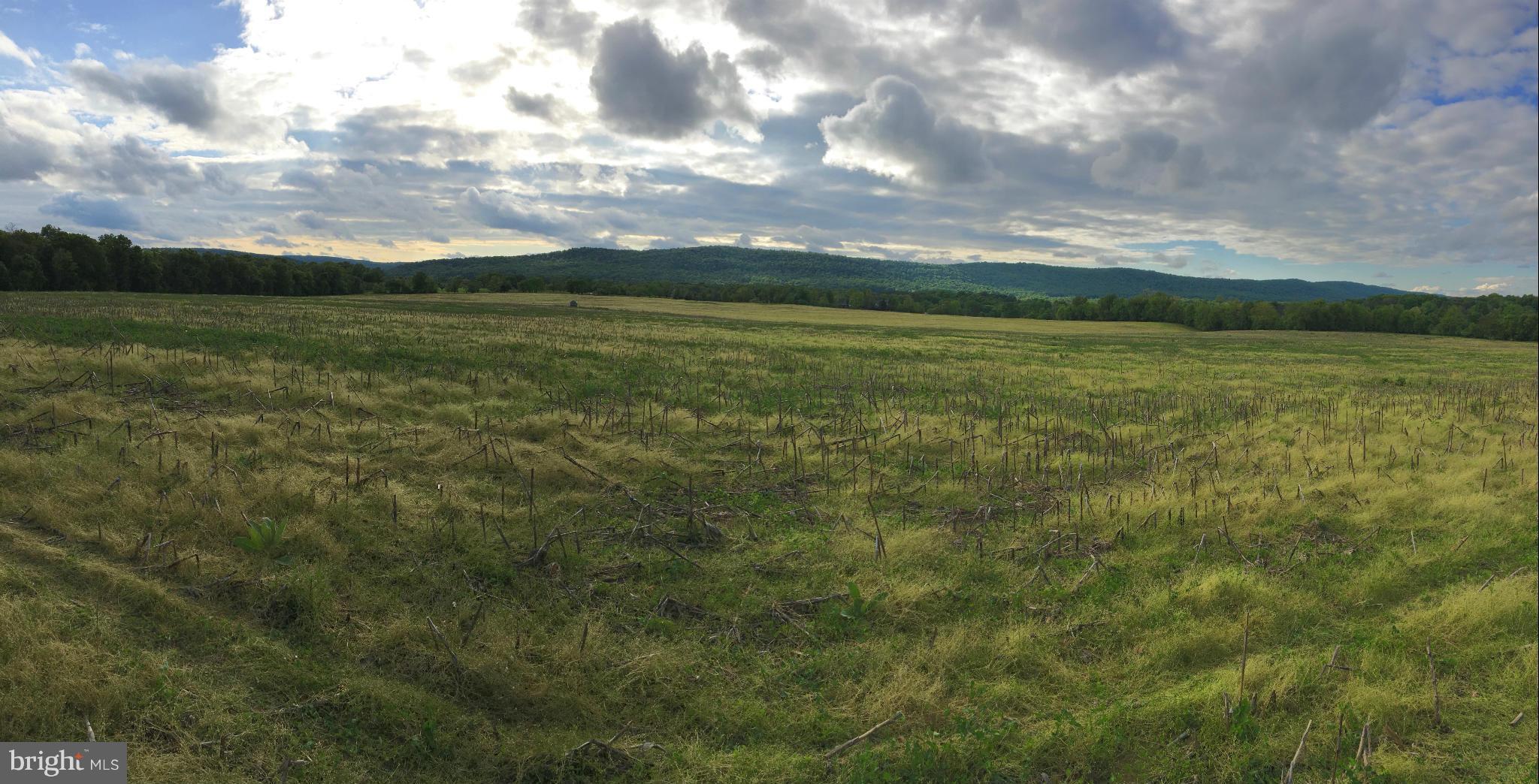 NONE AVAILABLE - Land