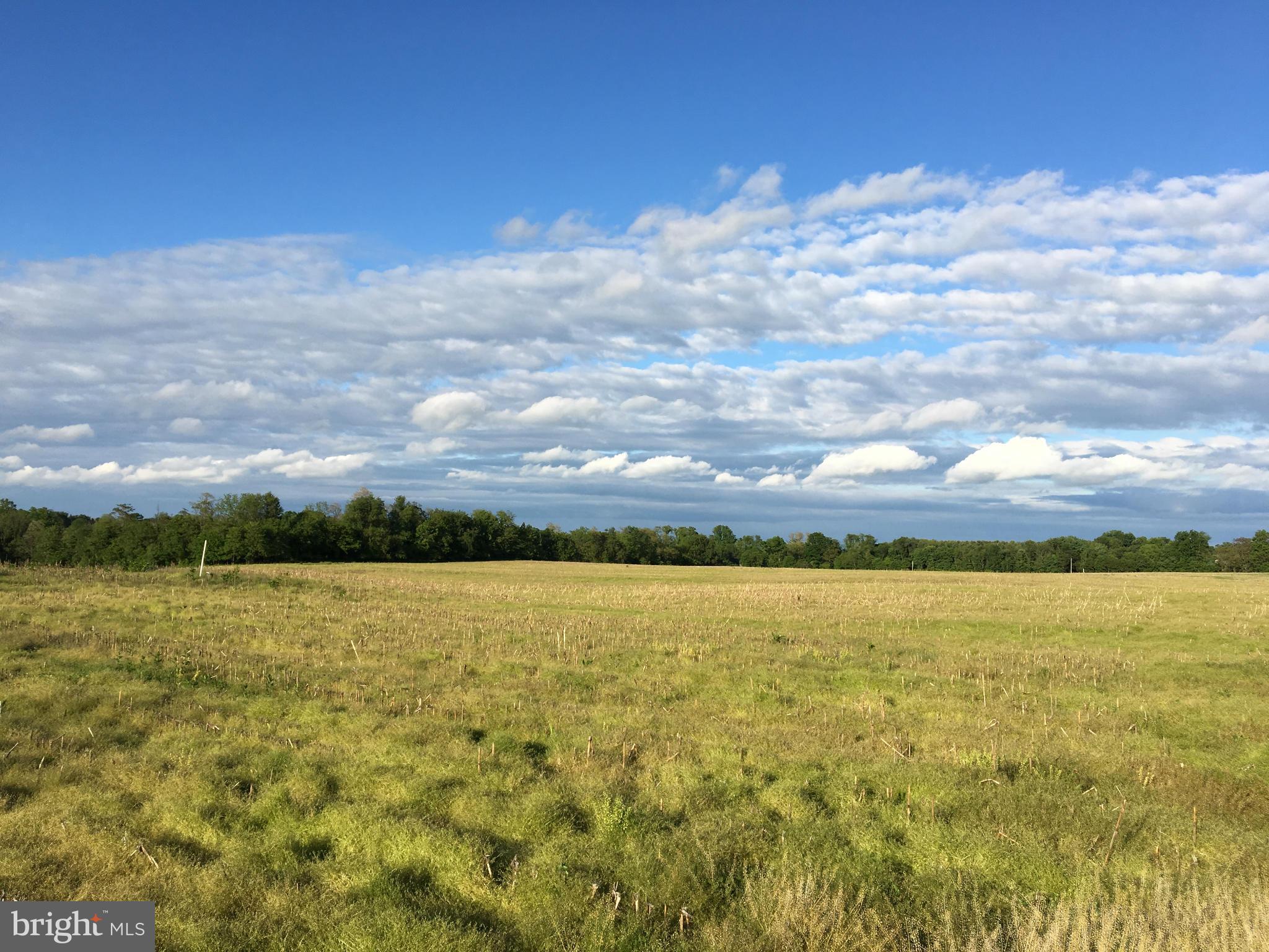 NONE AVAILABLE - Land