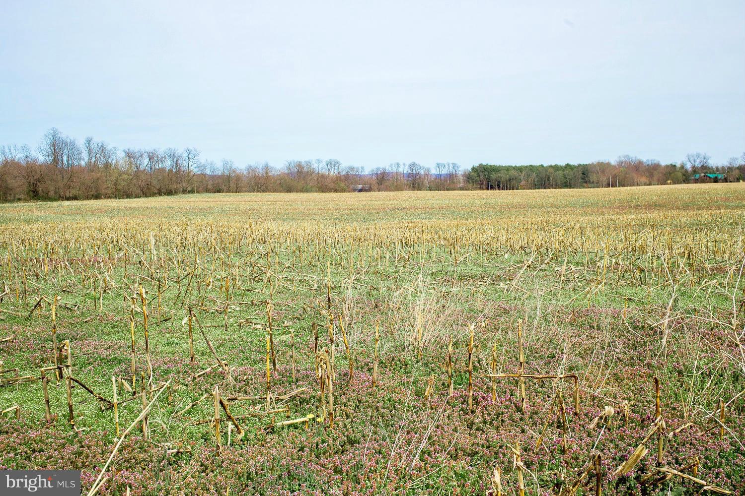 NONE AVAILABLE - Land