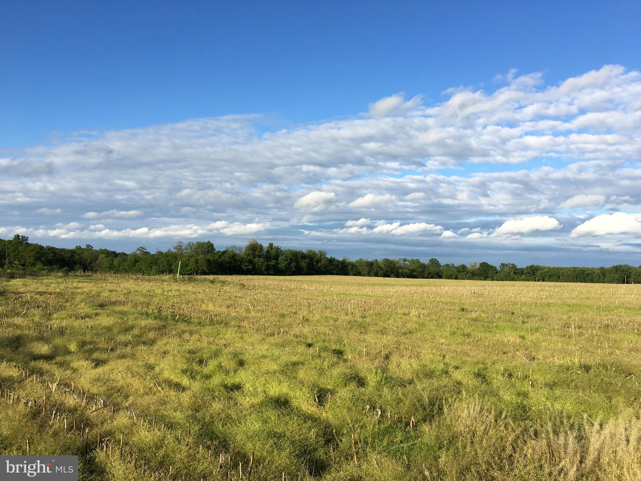 NONE AVAILABLE - Land