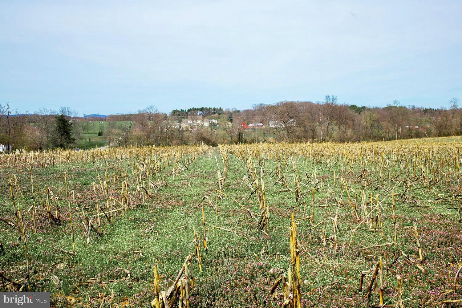 NONE AVAILABLE - Land