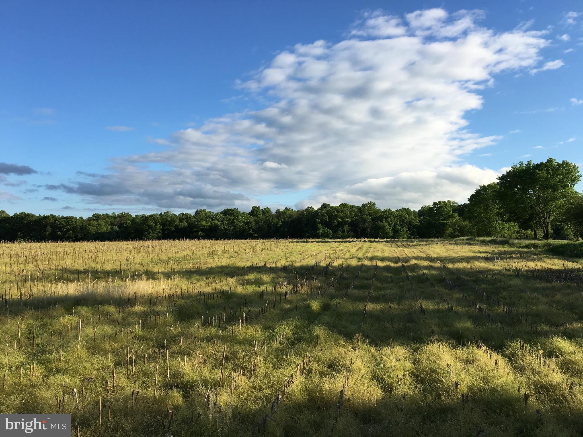 NONE AVAILABLE - Land