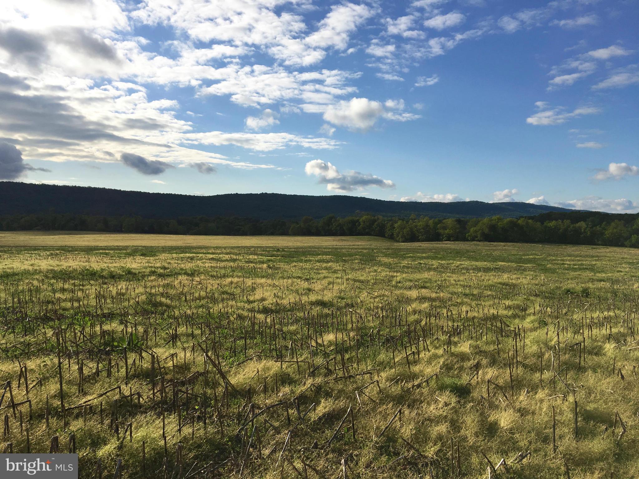 NONE AVAILABLE - Land