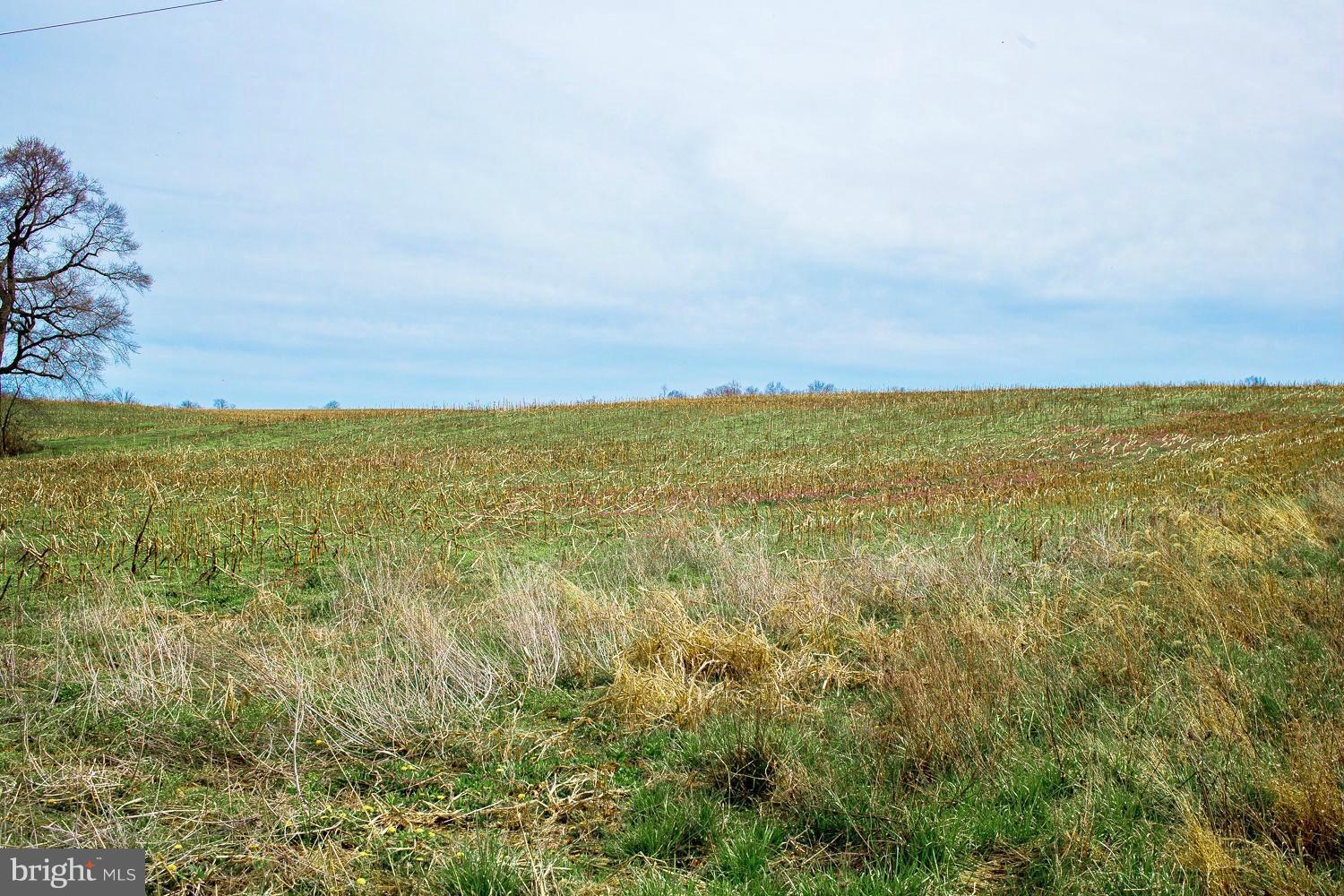 NONE AVAILABLE - Land