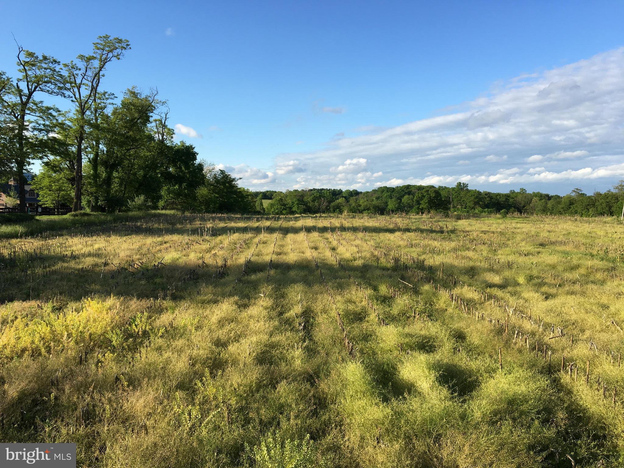 NONE AVAILABLE - Land