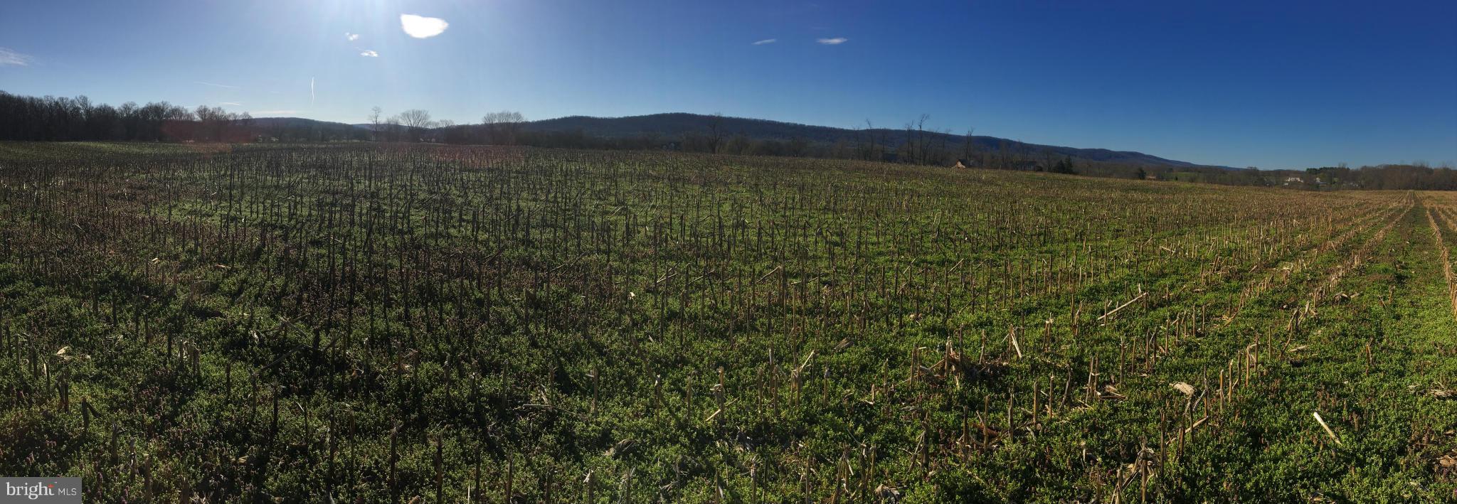 NONE AVAILABLE - Land