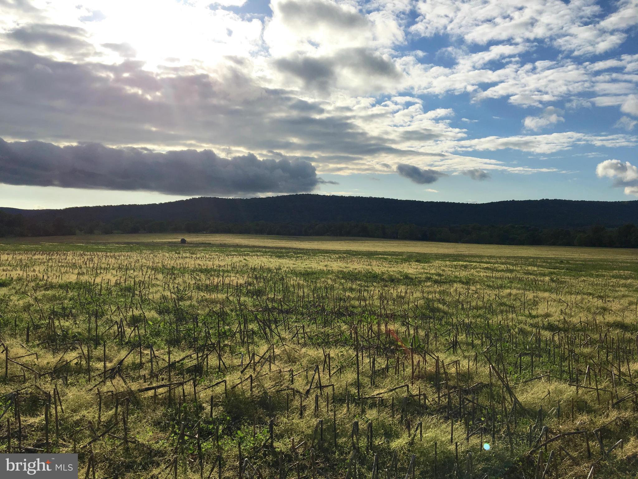 NONE AVAILABLE - Land