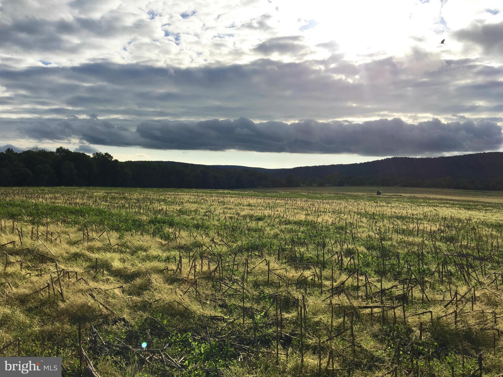 NONE AVAILABLE - Land