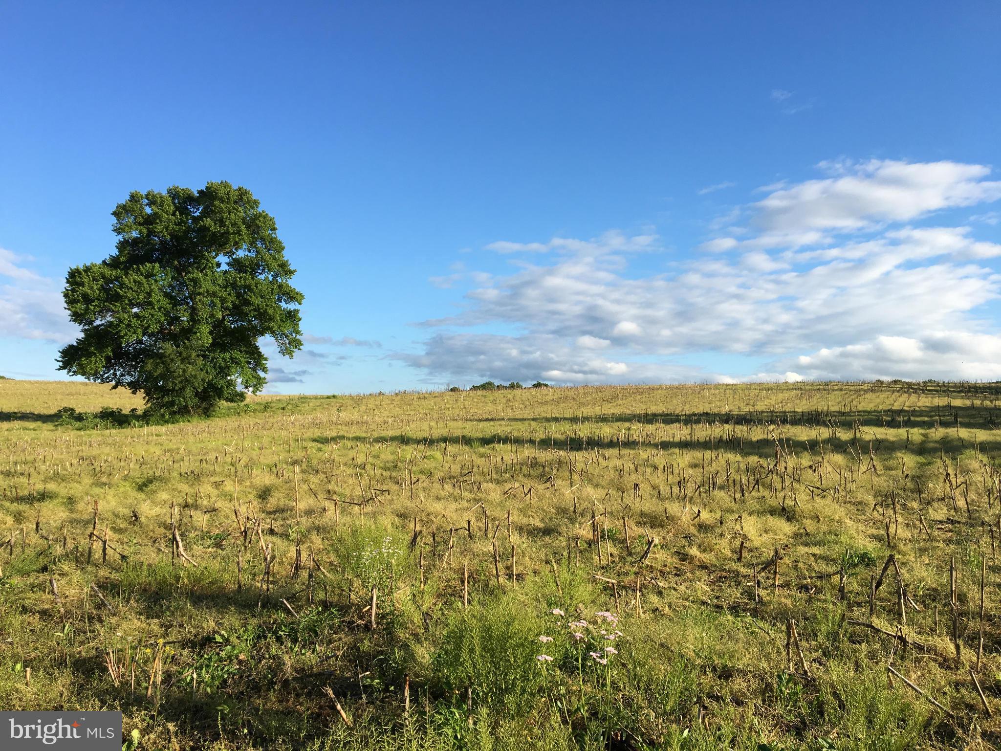 NONE AVAILABLE - Land