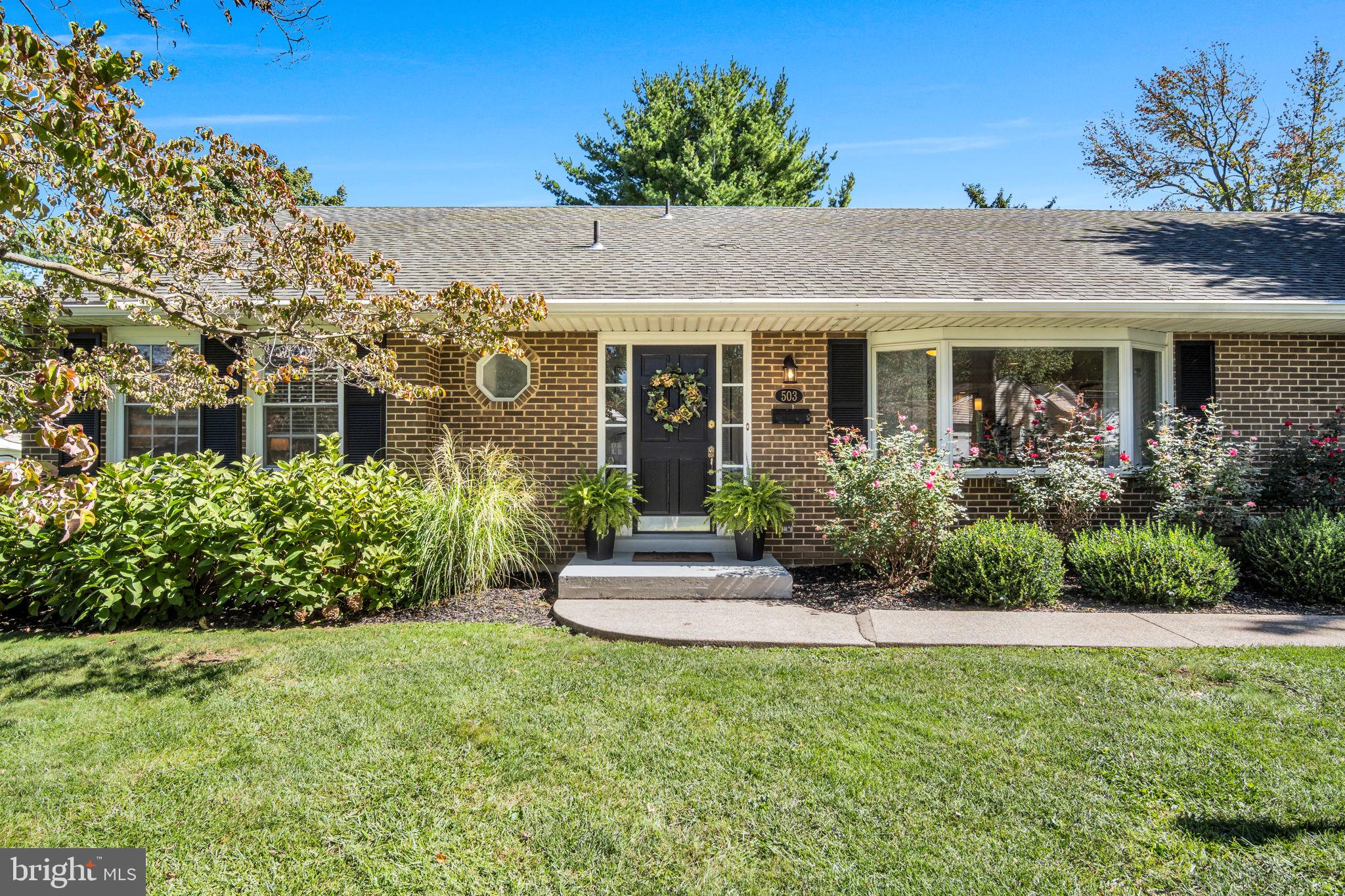 503 ELLEN ROAD