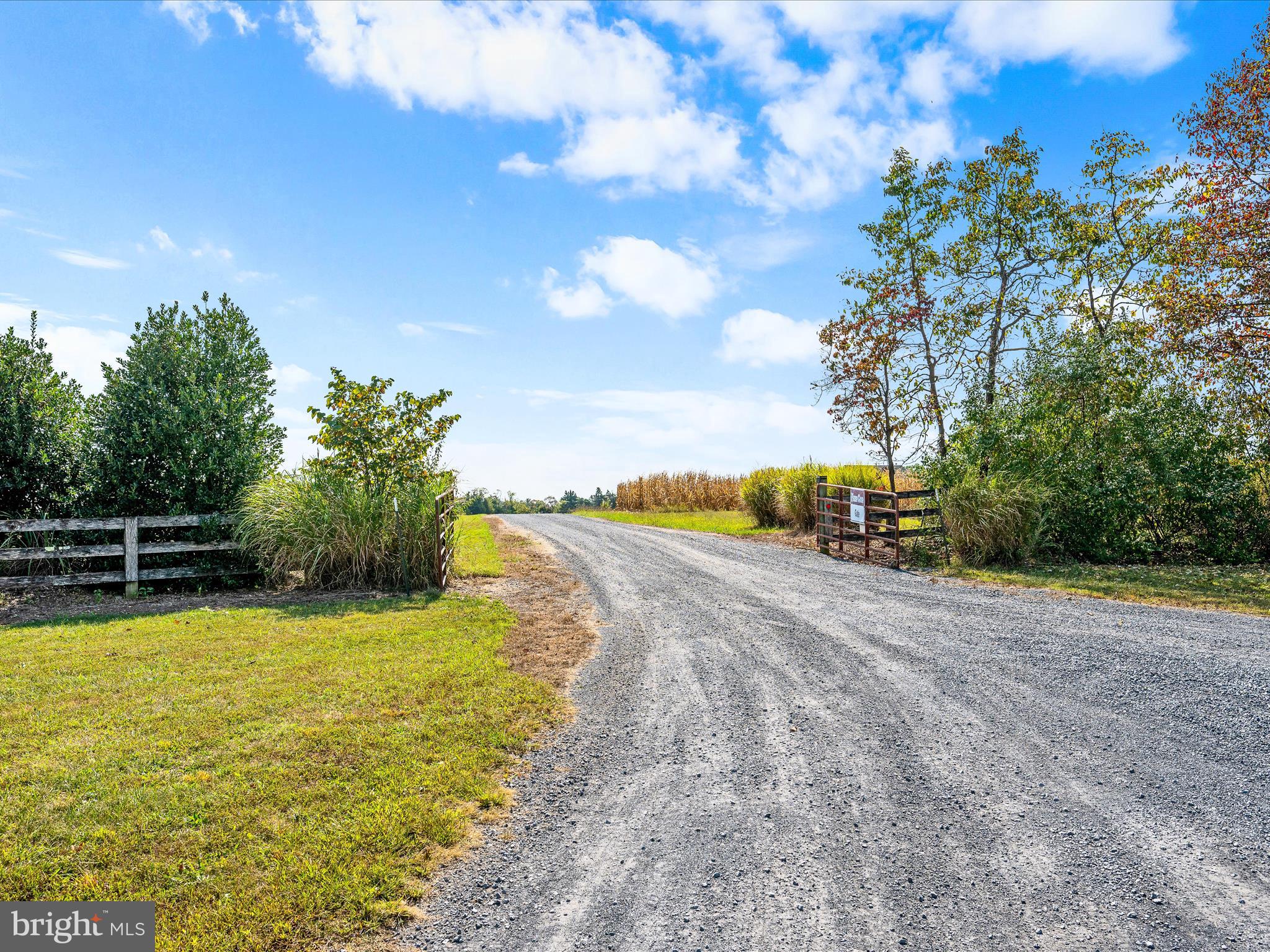 439 Acres LAUREL GROVE RD.
