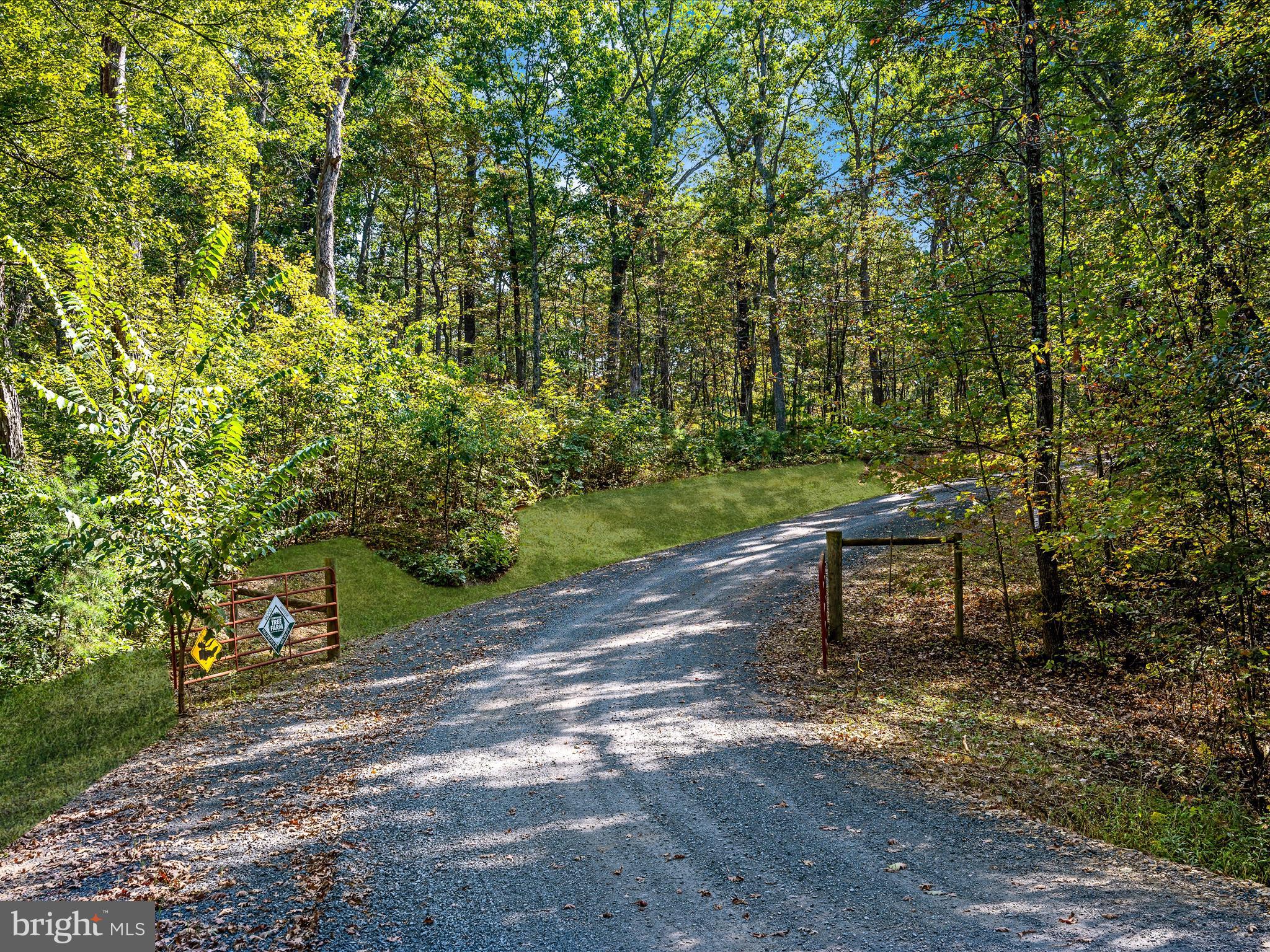 439 Acres LAUREL GROVE RD.