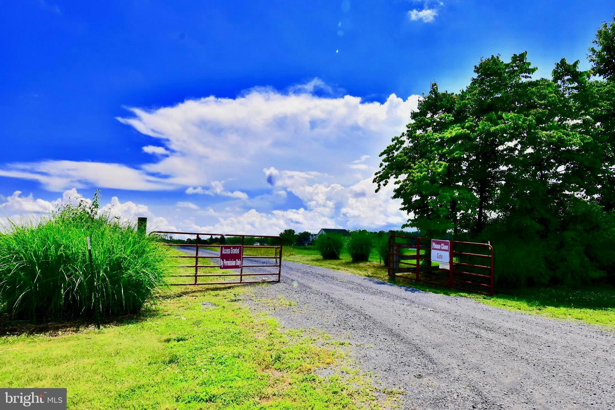 439 Acres LAUREL GROVE RD.