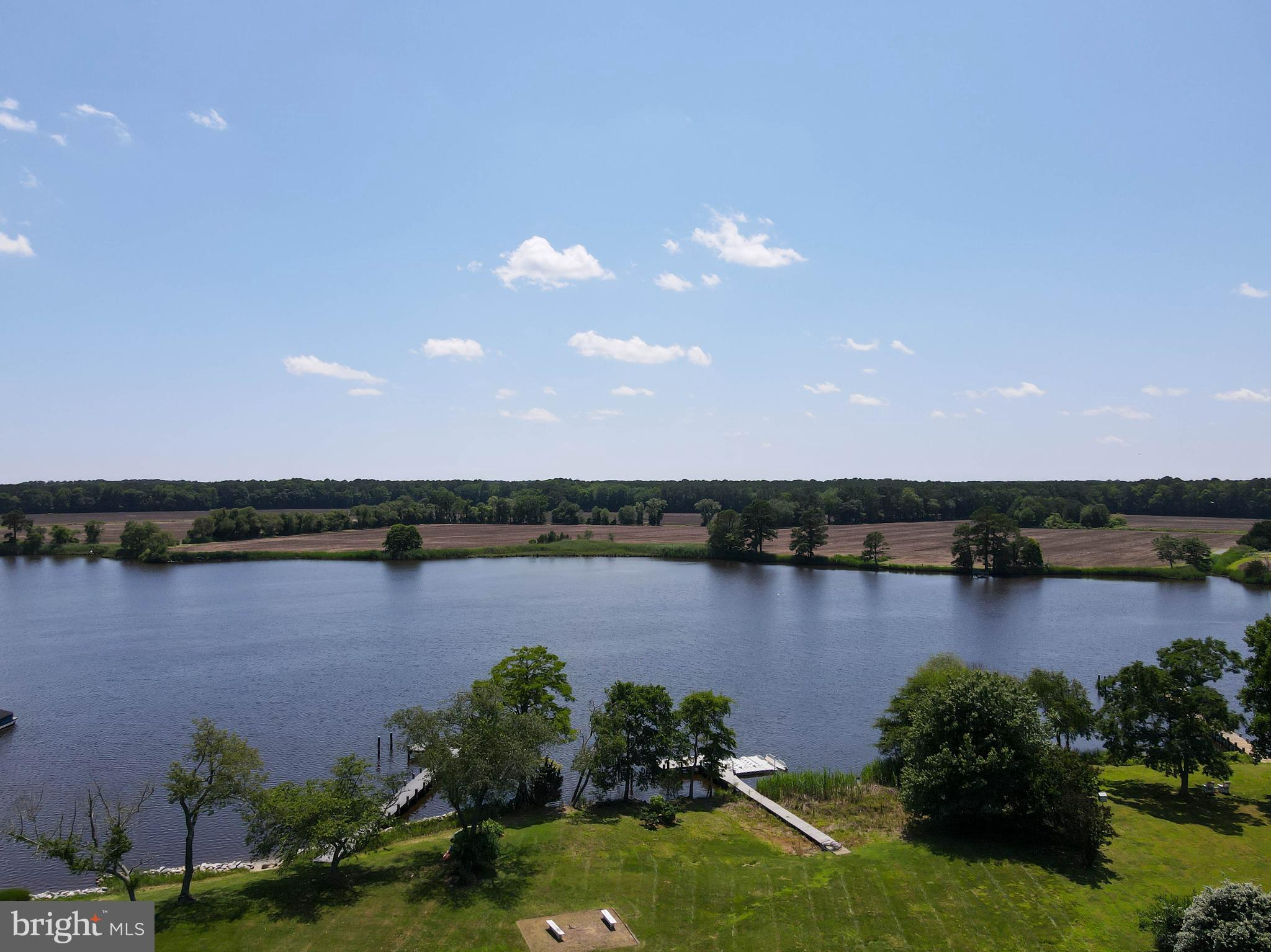 STRAY FOX - Residential