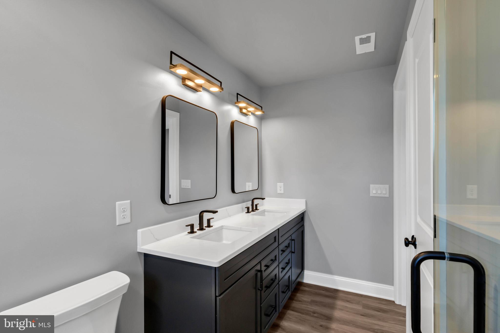 STRAY FOX - Residential