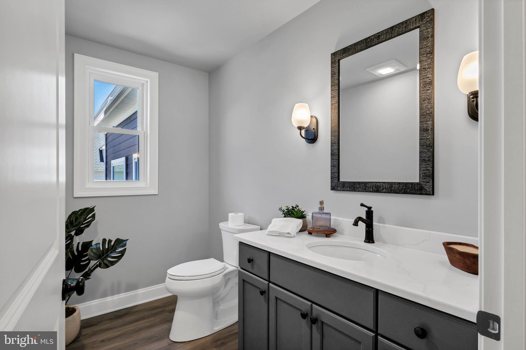 STRAY FOX - Residential