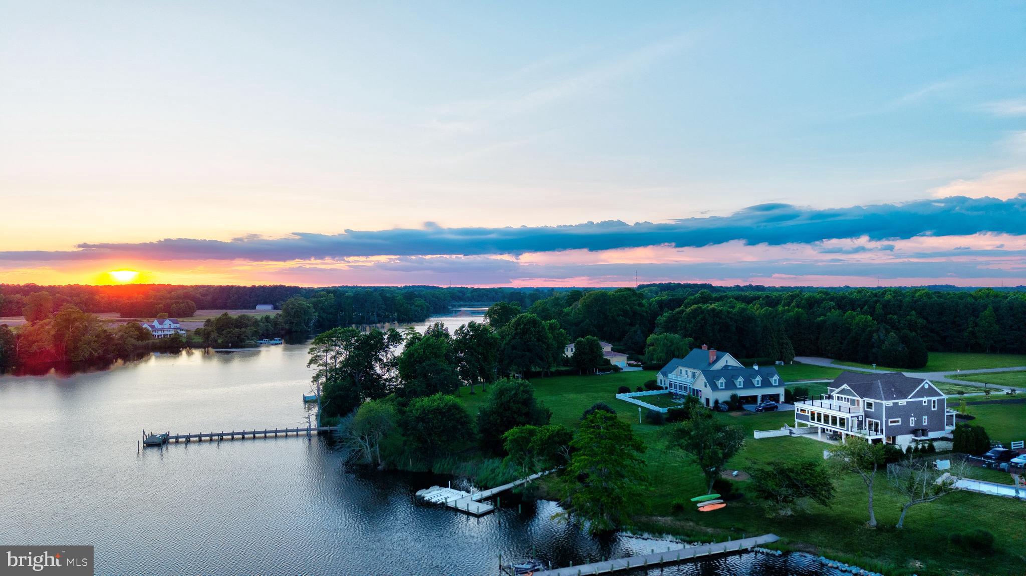 STRAY FOX - Residential