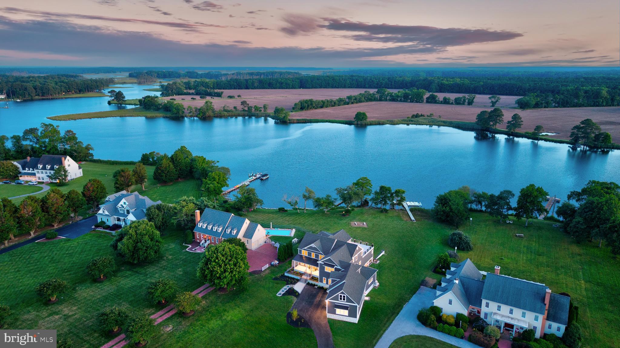 STRAY FOX - Residential