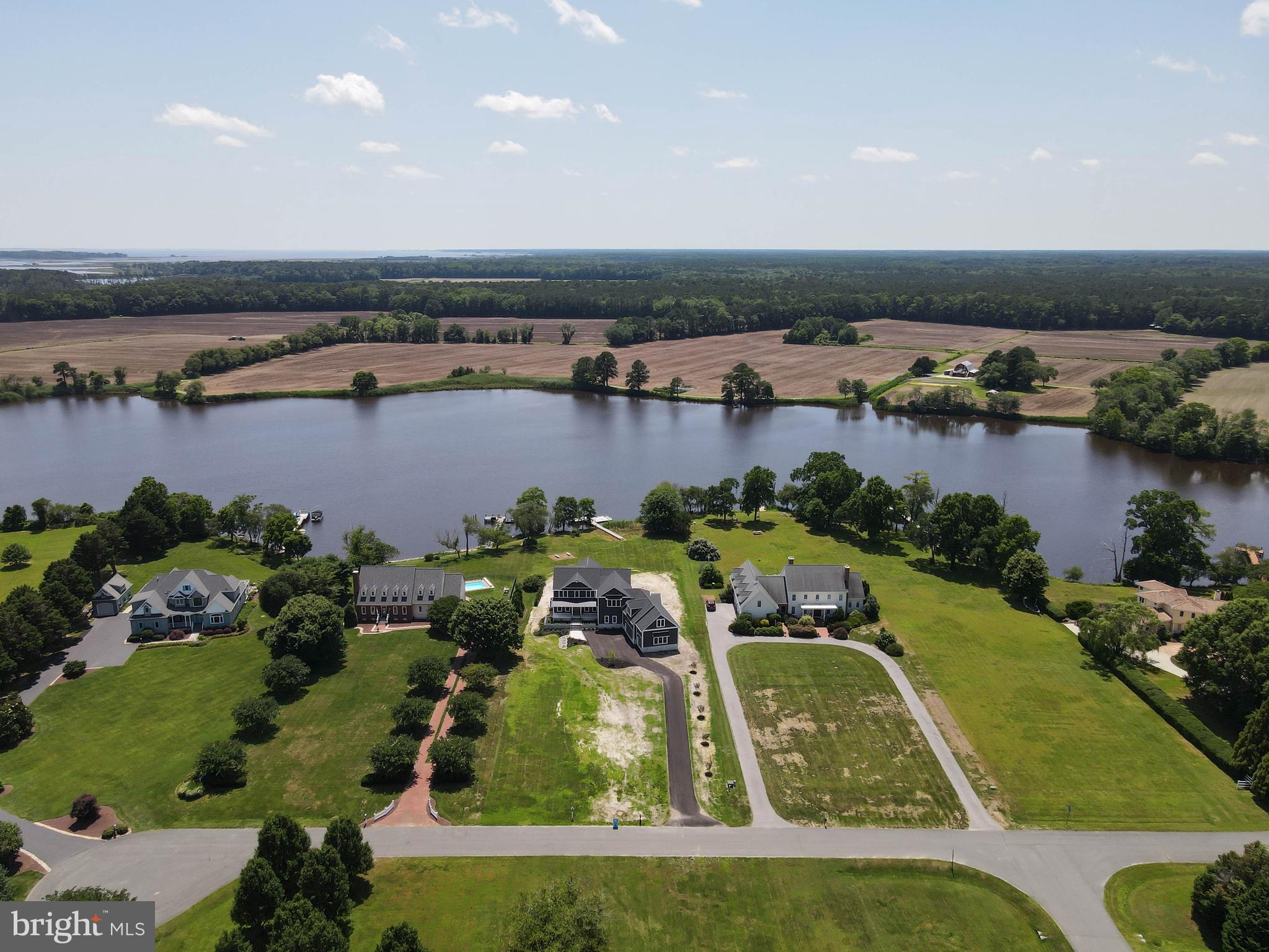 STRAY FOX - Residential