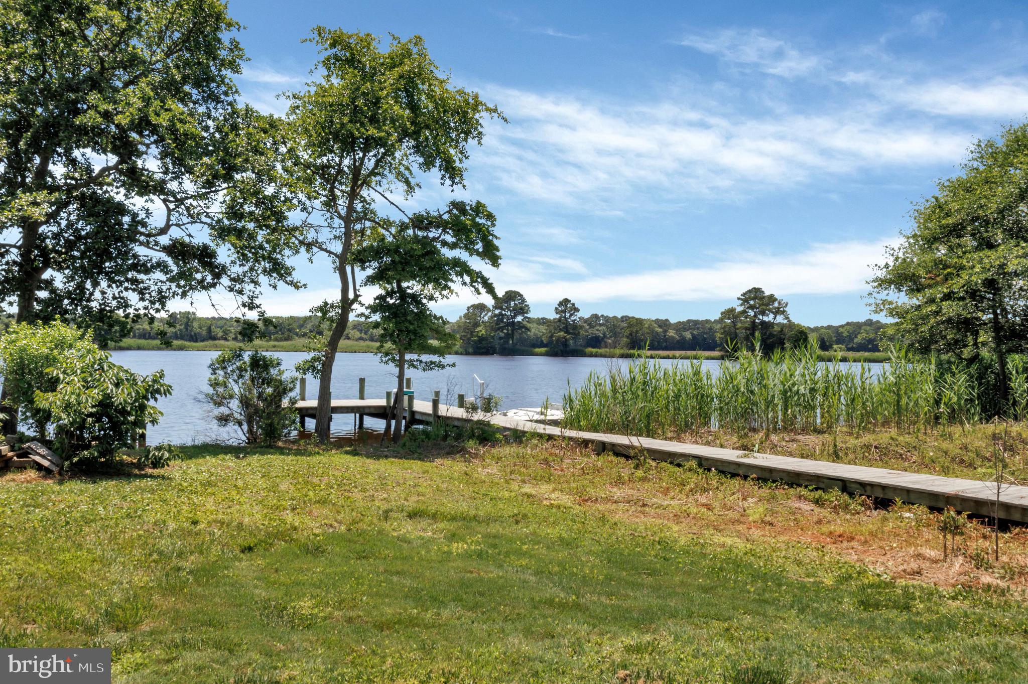 STRAY FOX - Residential