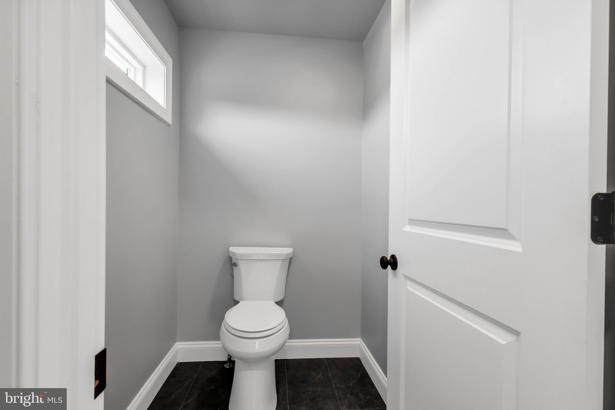 STRAY FOX - Residential