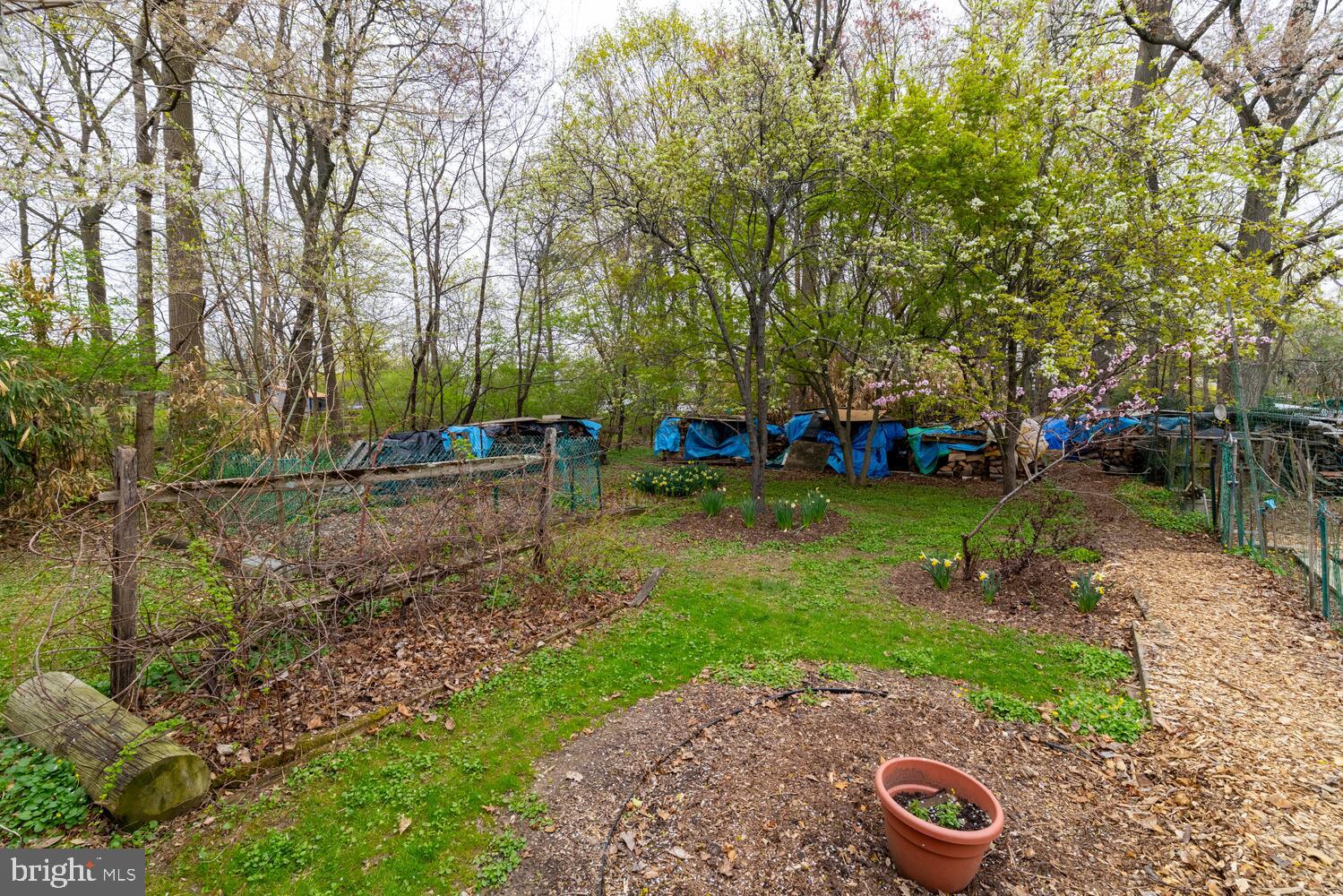 NORRITON EAST - Residential