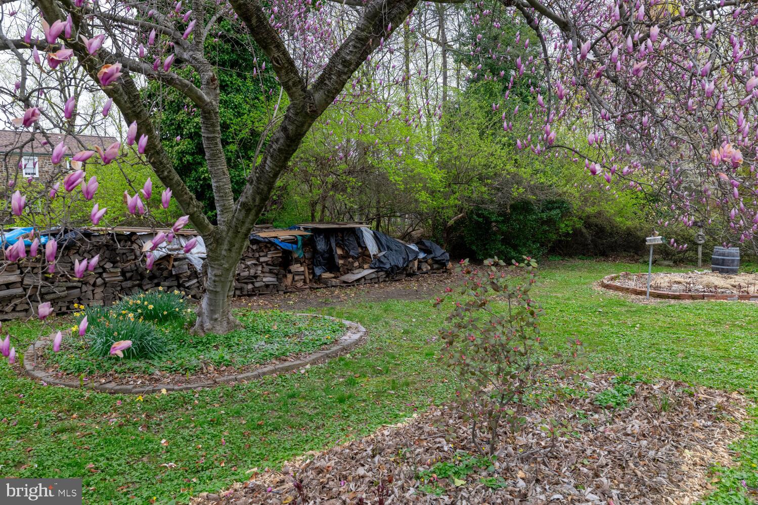 NORRITON EAST - Residential