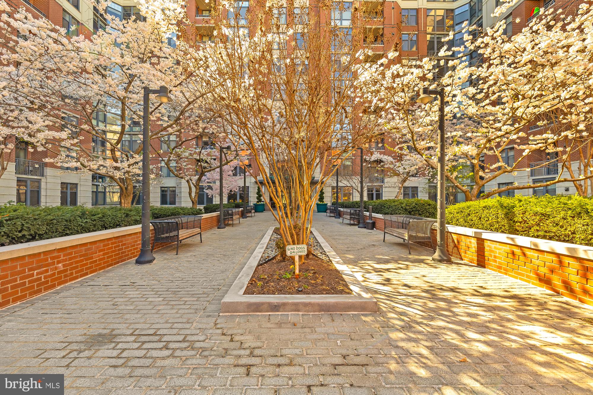 CLARENDON 1021 - Residential