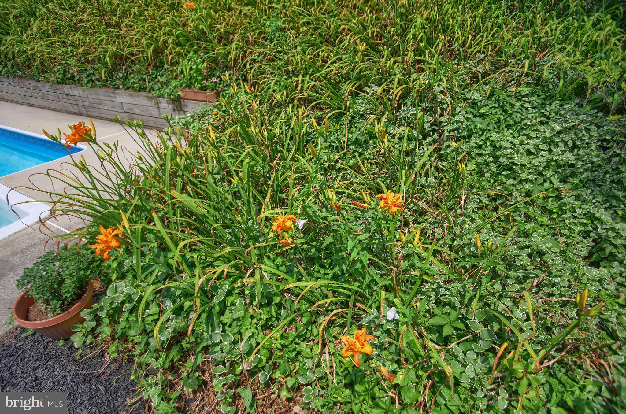 GREEN LANE FARMS - Residential