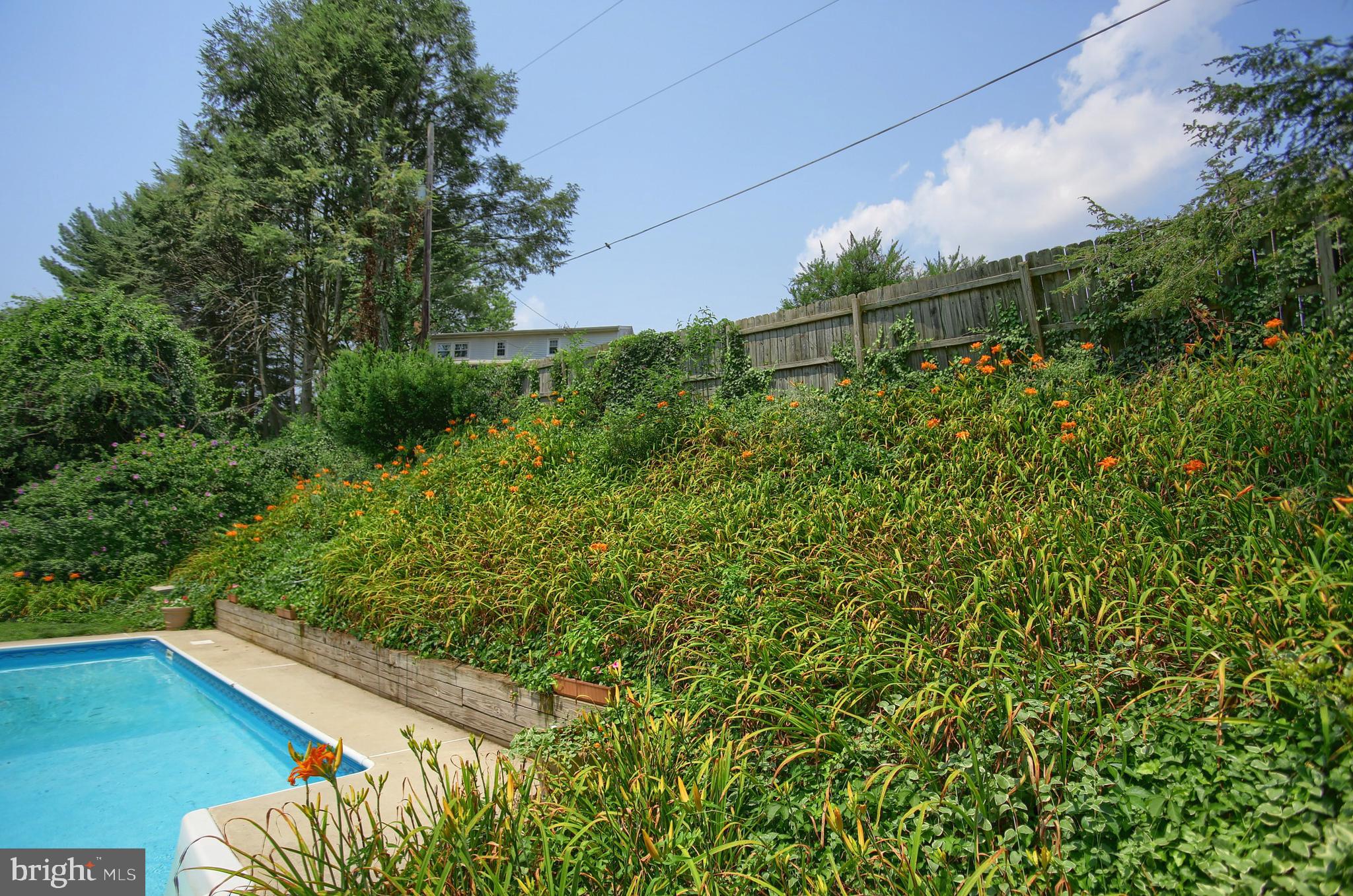 GREEN LANE FARMS - Residential